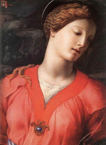 Angelo Bronzino The Panciatichi Holy Family china oil painting image